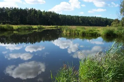 Augustowi Canal, egy fotó az augusztusi csatorna és útmutató fotó-Svirsky