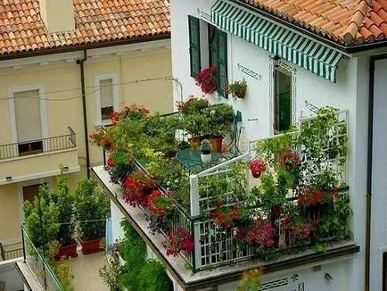 flori balcon - ce culori vor fi perfecte pentru un balcon frumos