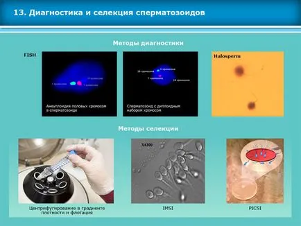 Atlasul tehnicilor de reproducere asistata in tratamentul infertilitatii