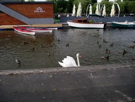 Августов Canal, снимка на канала август и водач фото-Svirsky