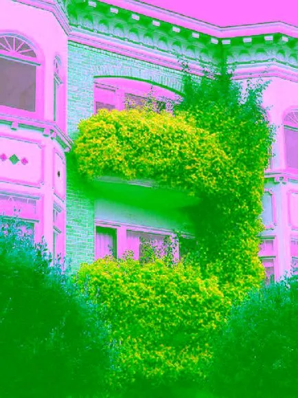 Erkély virágok - milyen színek tökéletes lesz egy szép erkély