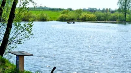 Безплатен риболов в езерата край Москва предградия и видео риболов