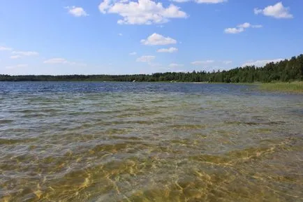 Ingyenes halászat a tavak közelében moszkvai külvárosban és videó halászat