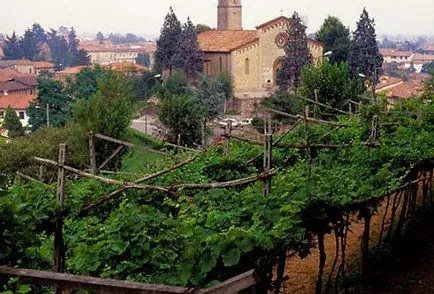 Barbaresco - Италия винопроизводство регион, Barbaresco - винопроизводство регион