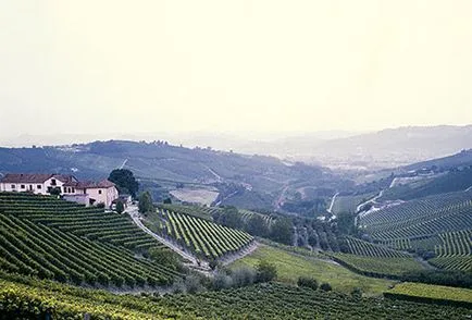 Barbaresco - Olaszország borkészítés régió Barbaresco - borkészítés régió
