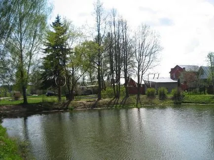Безплатен риболов в езерата край Москва предградия и видео риболов