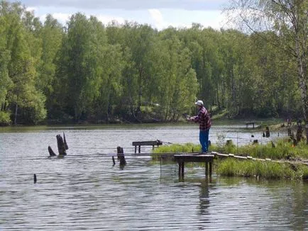 Ingyenes halászat a tavak közelében moszkvai külvárosban és videó halászat