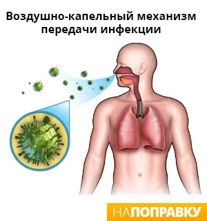 Bronchitis, krónikus és akut tünetek és a kezelés - napopravku