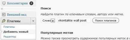 Blog de la zero - de la crossposting RSS WordPress plugin - postare de perete VKontakte în Vkontakte
