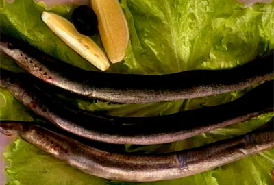 Mennyire hasznos lamprey, egészségesen éljenek, az átadás-egészségügyi Elena Malysheva