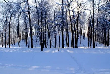 Ce să vezi în atracțiile orașului Puskin (fotografii, adrese, descrieri)