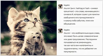 Instagram като инструмент за популяризиране на марката