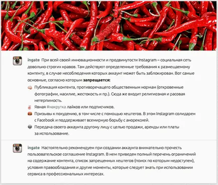 Instagram като инструмент за популяризиране на марката