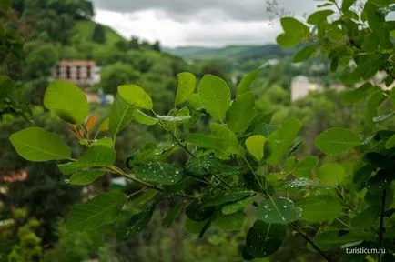 Кисловодск Resort Park, забележителностите на по-ниска парка