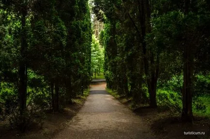 Kislovodsk Resort Park, az épületek alsó park