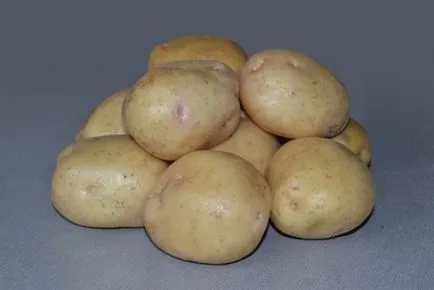 Най-добрите сортове картофи за предградия описание на снимката на мнения,