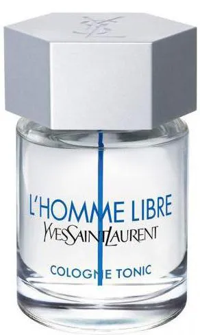 Parfum pentru bărbați yves saint laurent line Privire de ansamblu asupra l`homme