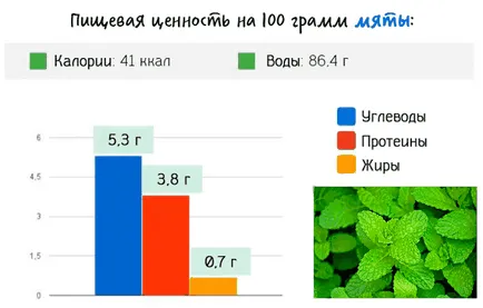 Proprietăți de mentă, utilizare, beneficii și plante Contraindicațiile