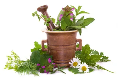 Naturopathy - tratament de direcție