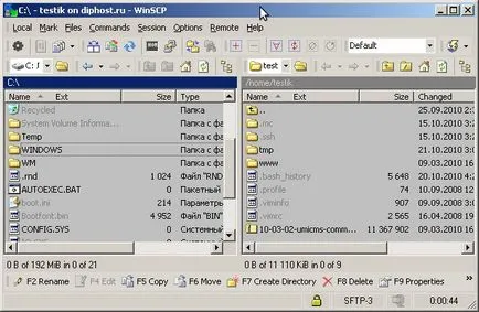 Configurarea conexiunii WinSCP