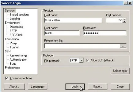 Configurarea conexiunii WinSCP