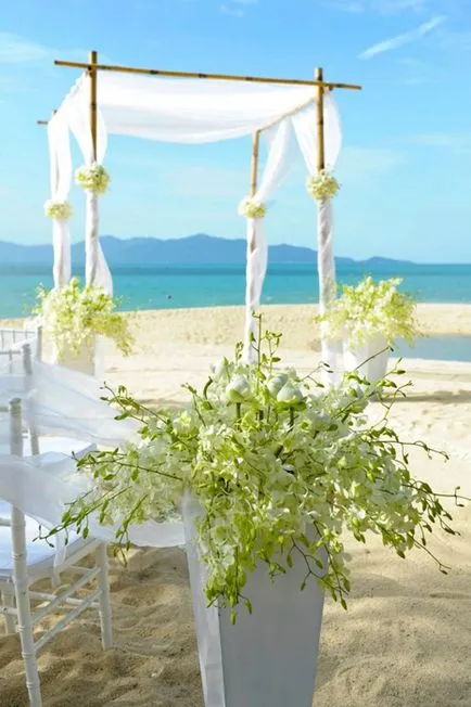 Natali Nosova - tervezzen egy esküvő a tengerparton online áruház