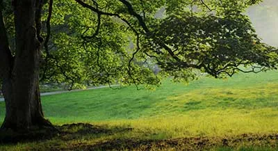 Nekrasovka Park „- a hivatalos honlapján a környéken” Nekrasovka Park 