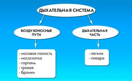 Неприятна миризма от носа и гърлото - причини и лечение