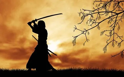 fapte interesante despre samurai japonez