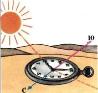 Meghatározása a bíboros - az óra, iránytű nélkül, a nap - egy könnyű dolog