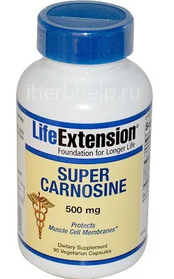 Подмладяване L-карнозин, всички добавки iherb