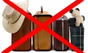 Limitarea dreptului de a călători în străinătate debitorilor pravovedus