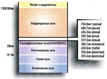 Dispozitive Descriere BIOPTRON și acțiunea lor terapeutice, pagina 1