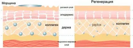 Подмладяването на лицето, след 50-60 години експлоатация без обратна връзка, процедурите за преразглеждане, рецепти популярните маски