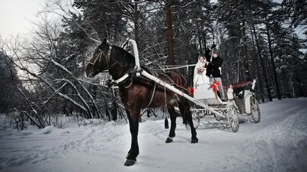 Decizia inițială de o nunta de iarna - procesiune în stil nobil