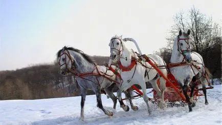 Decizia inițială de o nunta de iarna - procesiune în stil nobil