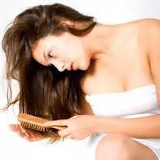 Review-uri de profesioniști șampon alerana - compoziția și efectul de șampon, termeni de utilizare,