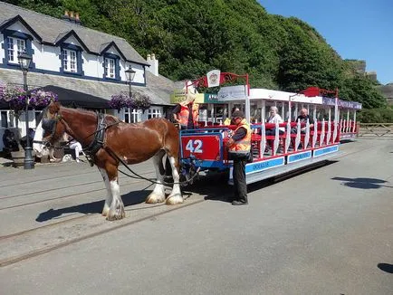 Isle of Man - született a legveszélyesebb motorversenyzés, farkatlan macskák és a póker