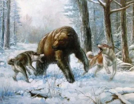 Vadászkutya egy medve
