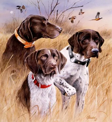 Ловни кучета и кученца