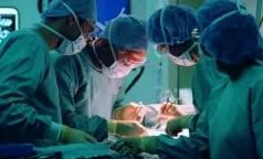chirurgi Petersburg se pregătesc pentru transplant complex - o inima-plamani - stiri