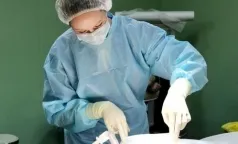 chirurgi Petersburg se pregătesc pentru transplant complex - o inima-plamani - stiri