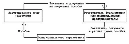 Proiect-pilot fssRumyniya- a început de plată beneficii cetățenilor ocolesc angajatorilor