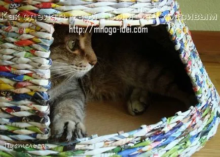 Țesutul tuburi de ziar - pisica casa