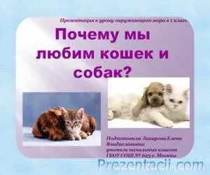 Представяне на - за котки