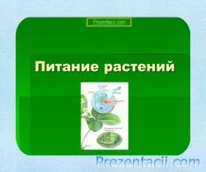 Представяне на почвата биология, храненето на растенията