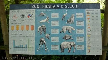 Zoo Praga