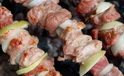 Condimente si mirodenii pentru un shish kebab