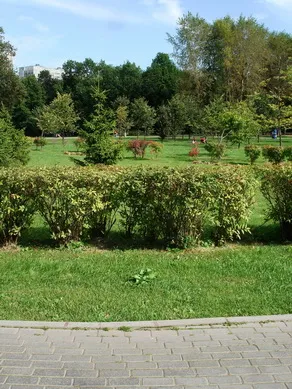 Plimbare prin parc Vorontov și Estate Voronțov, atracții