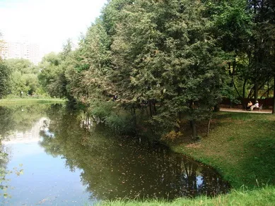 Plimbare prin parc Vorontov și Estate Voronțov, atracții